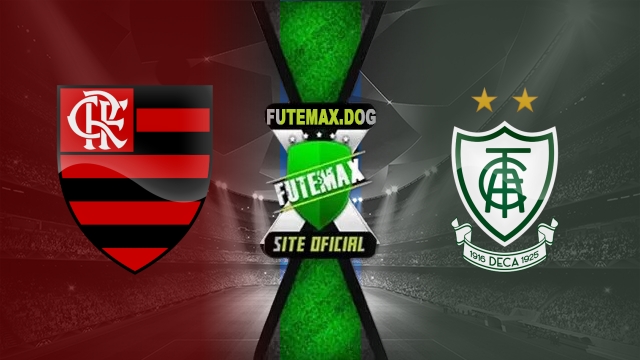 Assistir Flamengo x América-MG AO VIVO Online 14/06/2025