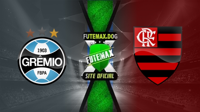Assistir Grêmio x Flamengo AO VIVO Online 18/06/2025